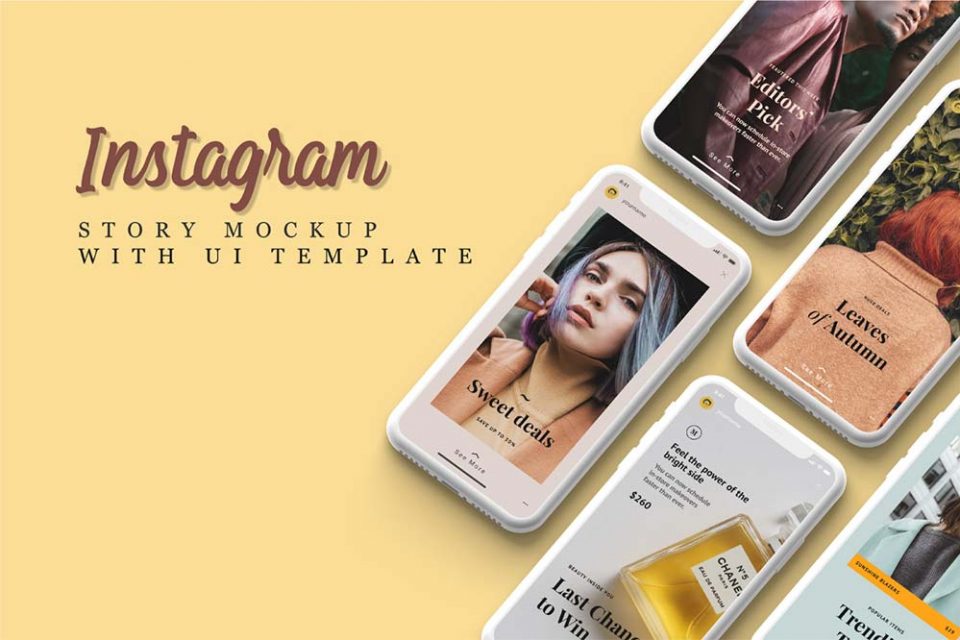 Instagram Profile Page Mockup (PSD)