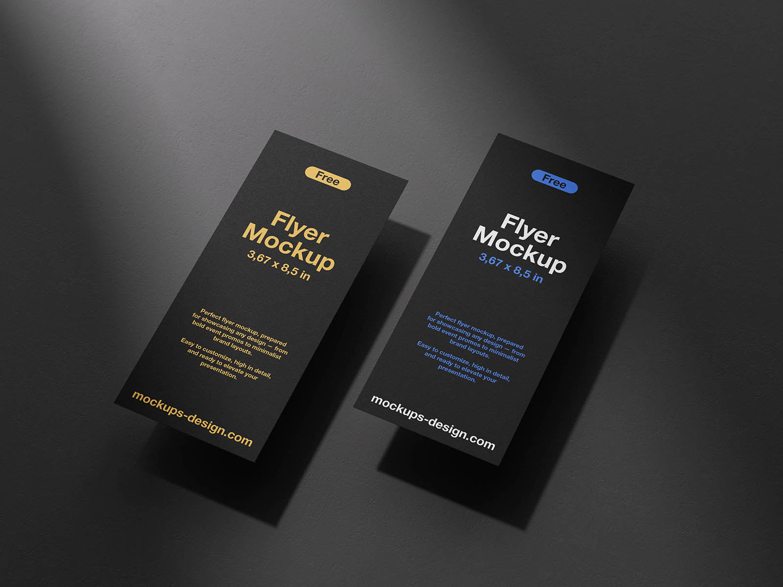 Free Long Flyer Mockup
