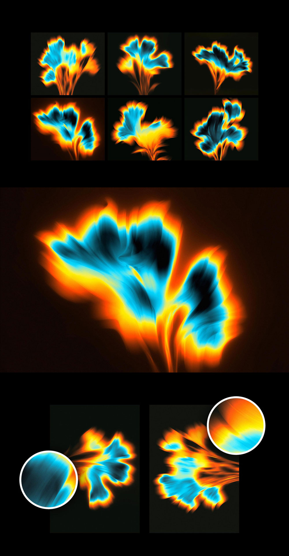 Free Floral Daze Textures Free Floral Daze Textures