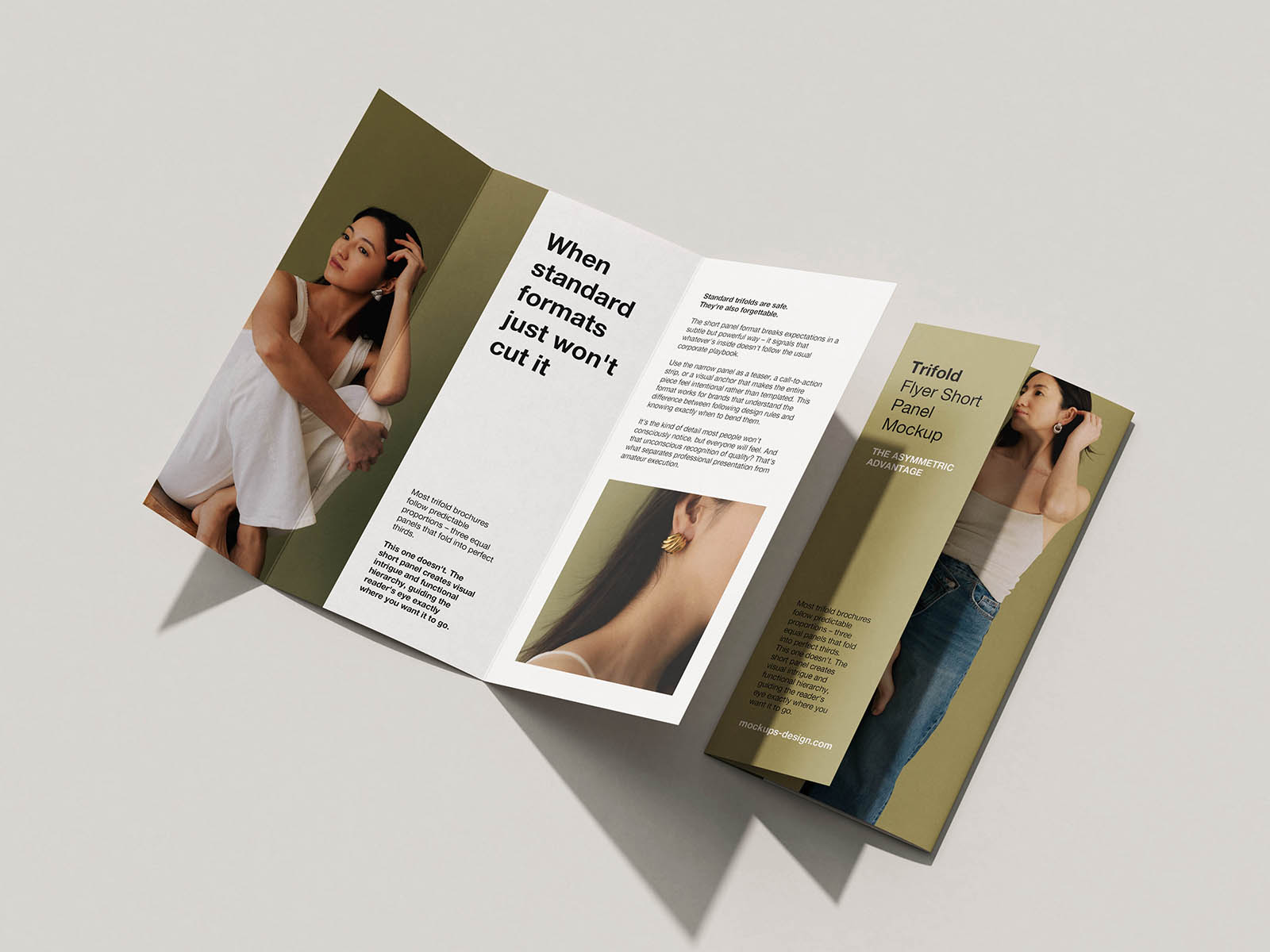 Free DL Trifold Flyer Mockup